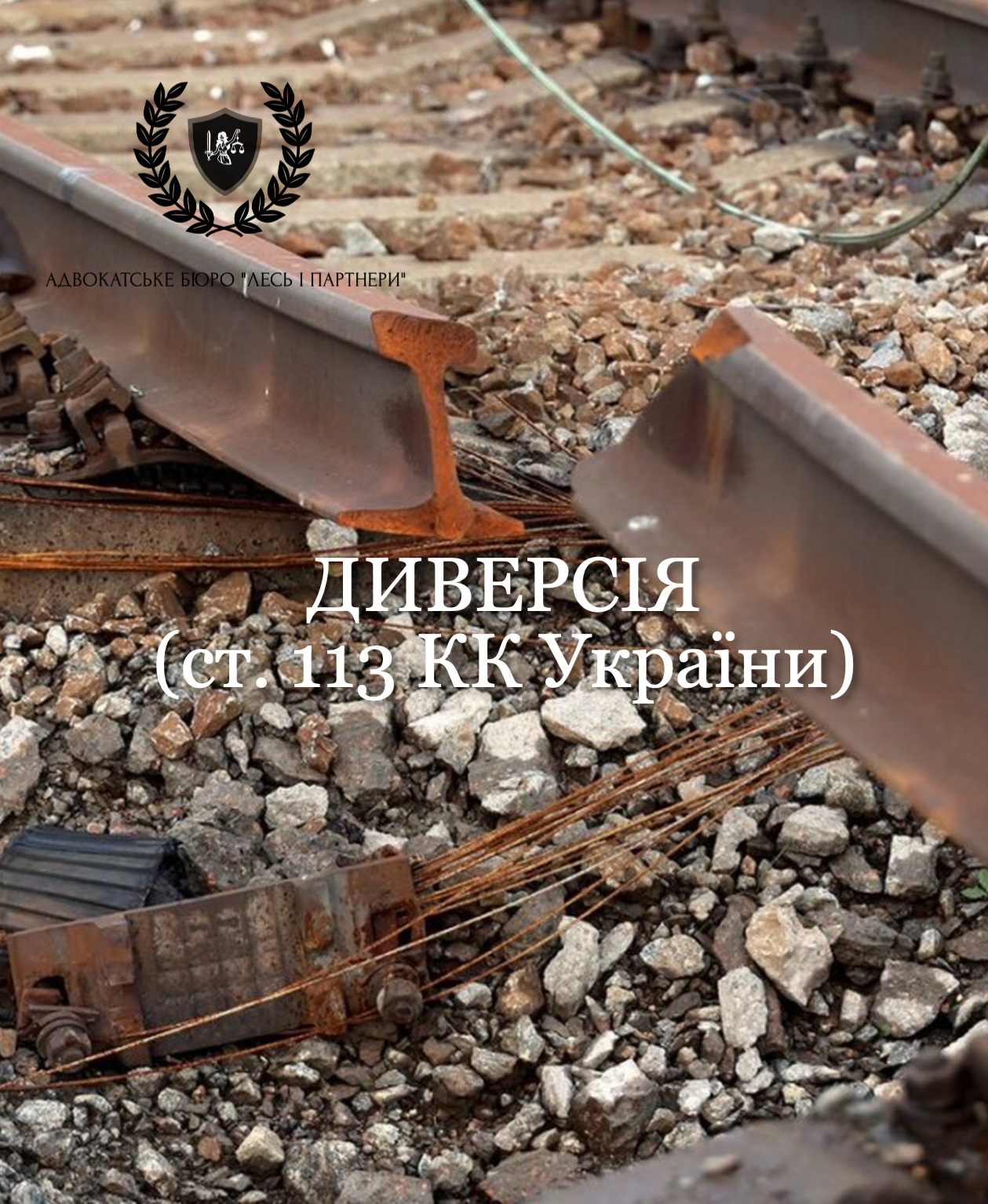 Диверсія (ст. 113 КК України)